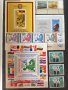 Колекция стари пощенски марки без печат (нови) - 8 големи класьора., снимка 3