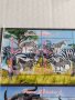 Пощенски марки  чиста комплектна серия ЖИВОТНИ поща Република Чад за колекция 29538, снимка 5