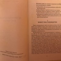 Душеспасително Поучение - Светител Теофан Затворник, снимка 3 - Специализирана литература - 37983886