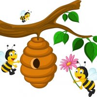 Продавам полифлорен пчелен мед - 8 лв. на буркан с винтова капачка, снимка 14 - Пчелни продукти - 15252670