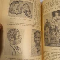 стар учебник Човешките раси, снимка 9 - Учебници, учебни тетрадки - 44865958