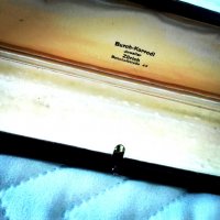 Раритетна кутия за бижута Burch Korrodi, снимка 5 - Антикварни и старинни предмети - 37537408
