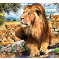 Лъвове семейство лъв 5D диамантен гоблен картина мозайка за направа по схема с камъчета, снимка 1 - Гоблени - 32691415