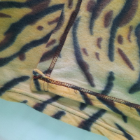 Тигрово одеяло, снимка 4 - Олекотени завивки и одеяла - 44865944
