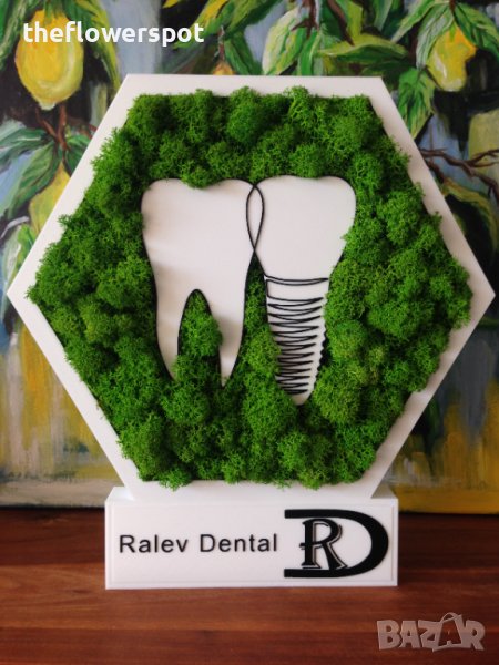 Подарък за зъболекар или зъботехник. Шестоъгълник с лого зъб и имплант, украсен със скандинавски мъх, снимка 1
