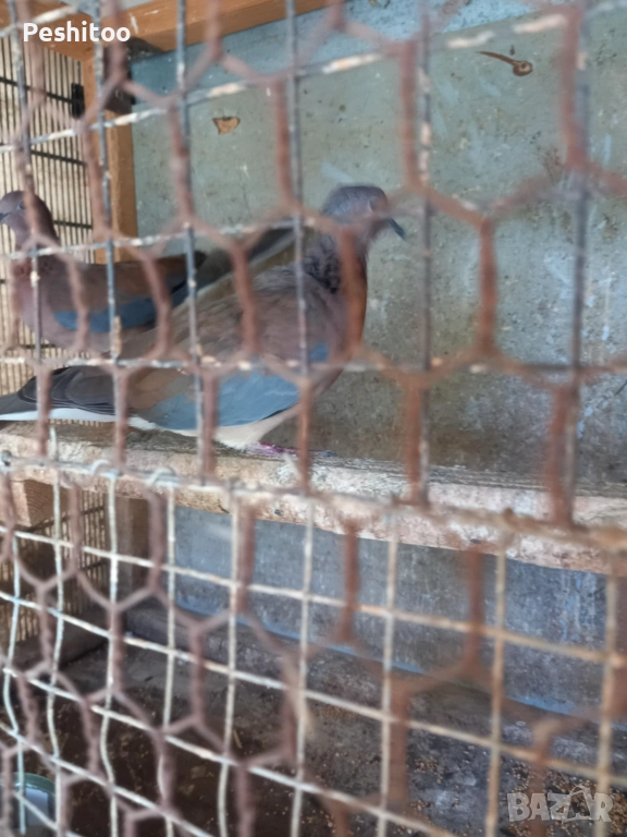 Продавам, снимка 1