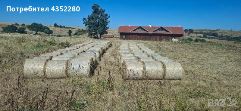 Бали ливадно сено ., снимка 1