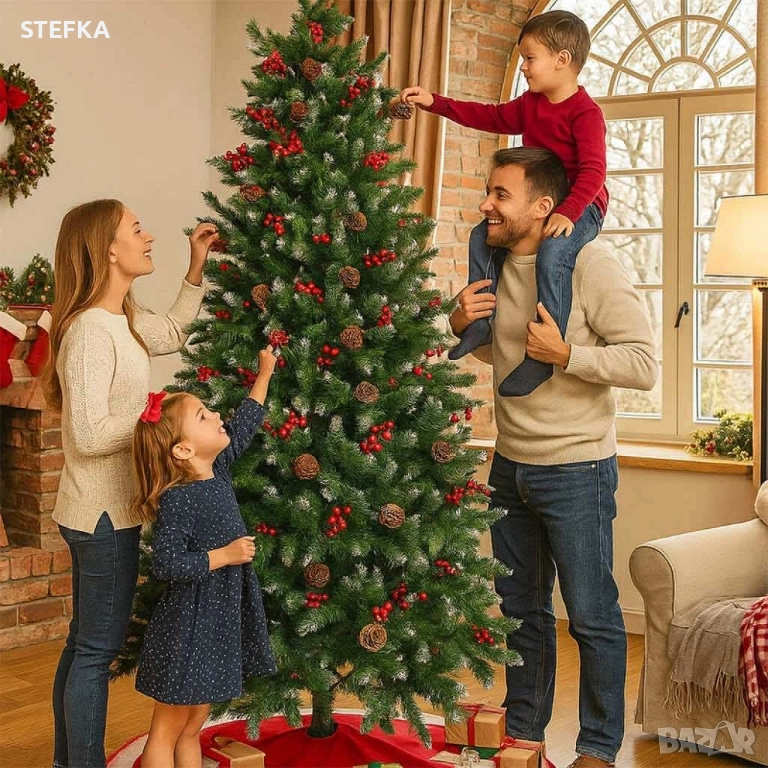 Елха различни размери, снимка 1