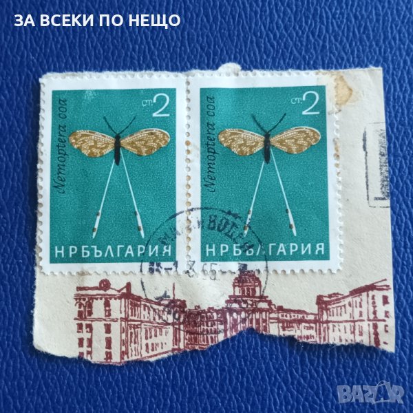 БЪЛГАРИЯ 1965 - ФАУНА, НАСЕКОМИ, ИЗРЕЗКА ПЛИК, снимка 1