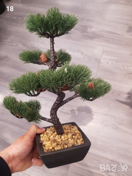 Бонсай , Бонзай, снимка 1