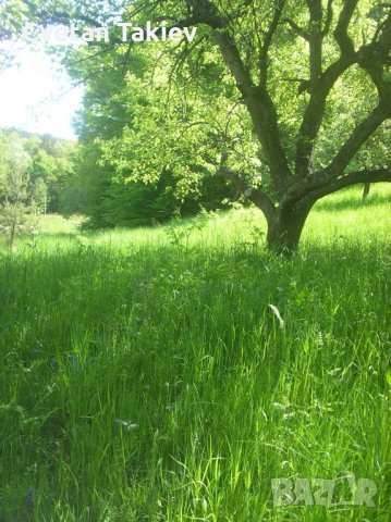 Парцел в УПИ Владая, снимка 3 - Парцели - 30232065