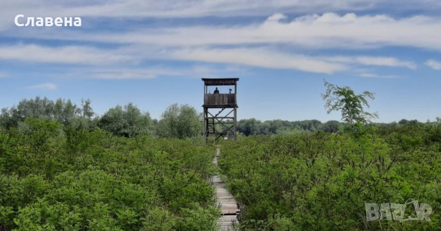 Орнитоложко приключение в природен парк Персина