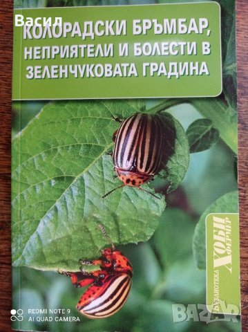 Колорадски бръмбар, неприятели и болести в зеленчуковата градина 