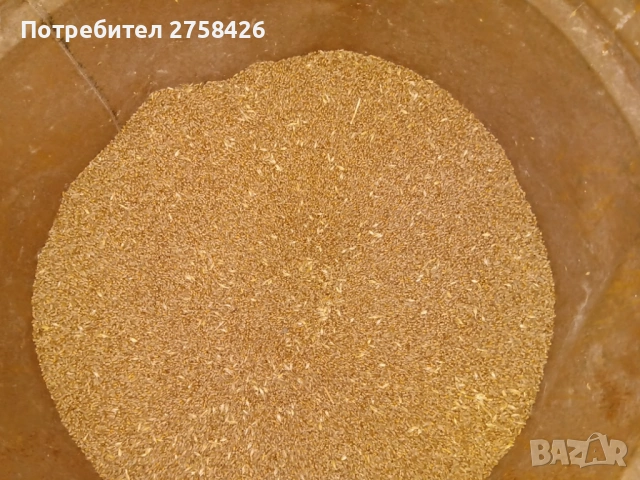 Зърно – пшеница и ечемик