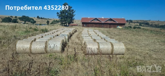 Бали ливадно сено .