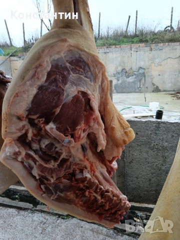 Свинско трупно пърлено на половинки, снимка 3 - Домашни продукти - 52213296