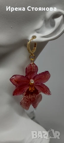 Обеци с естествен цвят на мини орхидея Miltonia. Цветче с размери 5/4,5 см. , снимка 9 - Обеци - 51090714