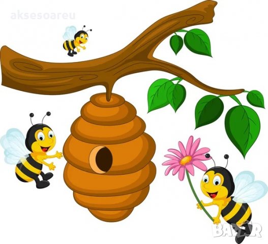 Продавам полифлорен пчелен мед - 8 лв. на буркан с винтова капачка, снимка 14 - Пчелни продукти - 15252670