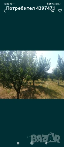 Къща , снимка 6 - Къщи - 51172237