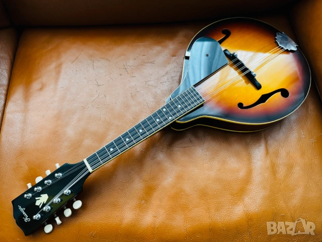 Made in JAPAN! 1970's Мадолина "The Kasuga" M-18 с оригинален кейс!, снимка 10 - Струнни инструменти - 53149511