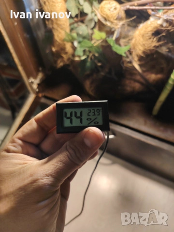 Терариум , снимка 9 - Терариуми и оборудване - 52296542