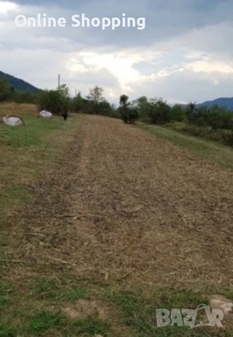 земеделска земя и градина, снимка 3 - Земеделска земя - 51386560