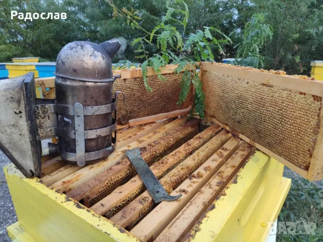 Пчелен Мед реколта 2025г,ливадни билки, букет,кошери, пчели, здраве, снимка 5 - Пчелни продукти - 32625006