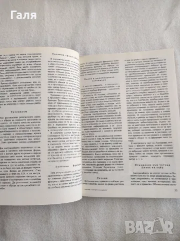 Религията в историята на народите, Сергей Токарев, снимка 4 - Специализирана литература - 49397626