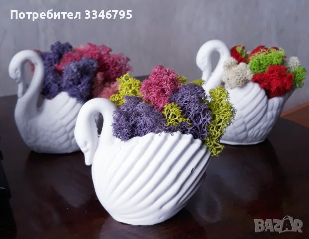 Гипсови фигури декорирани със скандинавски мъх , снимка 5 - Декорация за дома - 44113350