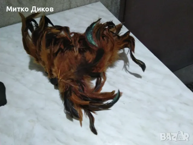 Лента за глава естествена кожа от естествени пера много, снимка 4 - Шапки - 48613983