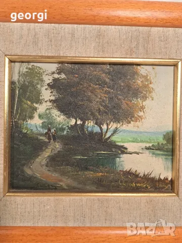 картина с маслени бои върху платно    11/5, снимка 2 - Картини - 47489201