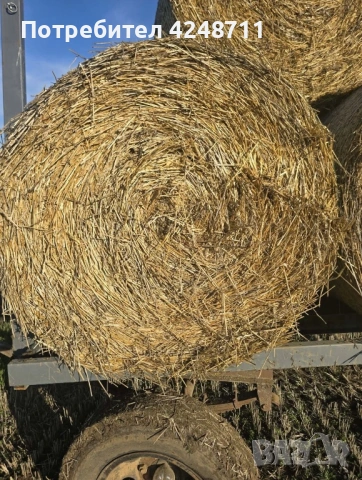 Житна слама 135/120, снимка 2 - За селскостопански - 53585803