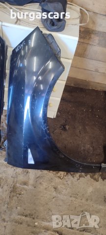 Калник ляв десен Renault Scenic II 1.5 DCI - 60лв, снимка 2 - Части - 43514672