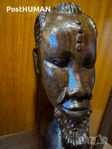 Африкански бюст -Глави - Африка, снимка 4 - Колекции - 52421300