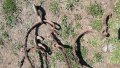 стоманено въже с куки за кран четворка  , снимка 1 - Индустриална техника - 28594776