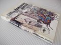 Книга "Каменните щитове - Борис Чолпанов" - 296 стр., снимка 8