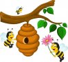Продавам полифлорен пчелен мед - 8 лв. на буркан с винтова капачка, снимка 14