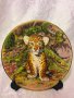 Колекционерска порцеланова чиния  Royal Stafford, снимка 1 - Декорация за дома - 39772327