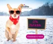 Пари на върха на пръстите ви - бърз кредит с 0% лихва от Кредито, снимка 7