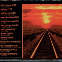 Blues Band Midlife or Crisis, снимка 2 - CD дискове - 35522534
