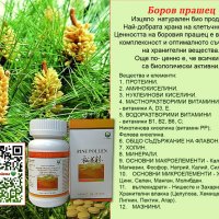 БОРОВ ПРАШЕЦ -уникален природен продукт , снимка 4 - Хранителни добавки - 38074024