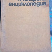 Българска пчеларска енциклопедия, снимка 1 - Други - 43476149