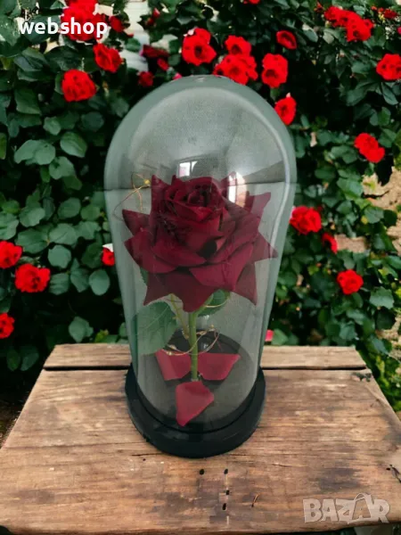 Стилен подарък за жена - Вечна роза в стъкленица , снимка 1