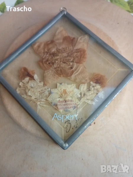 Хербарии , снимка 1