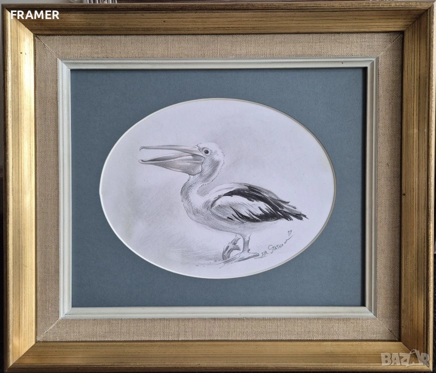 Румен Статков Уникален етюд на Пеликан 1999 година, снимка 1