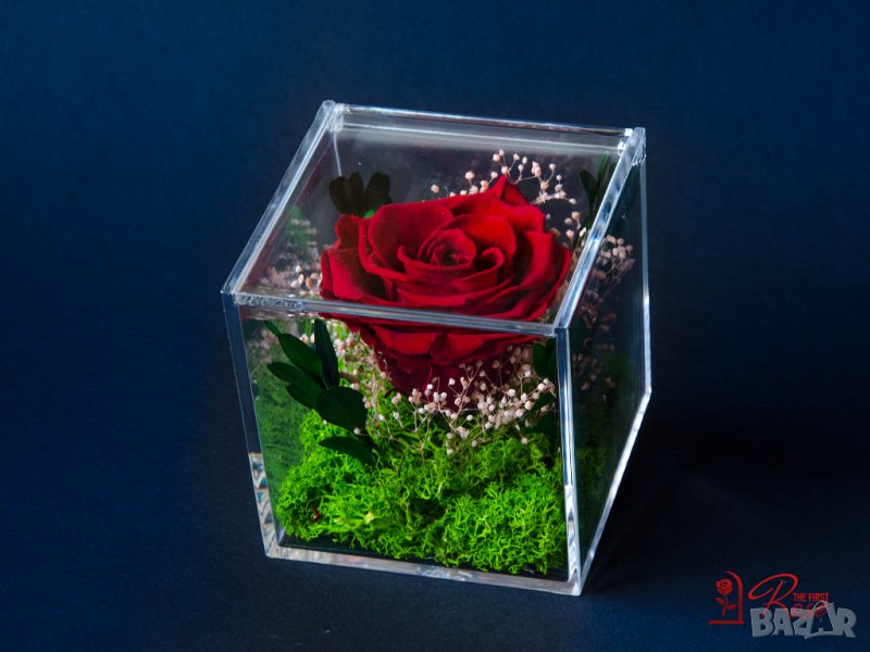 Естествена Вечна Роза в Акрилна Кутия / Уникален Подарък за Рожден Ден / Жива Вечна Роза в Кутия, снимка 1