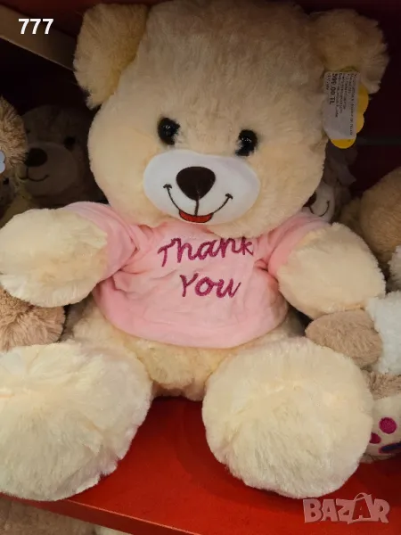 плюшени мечета , снимка 1