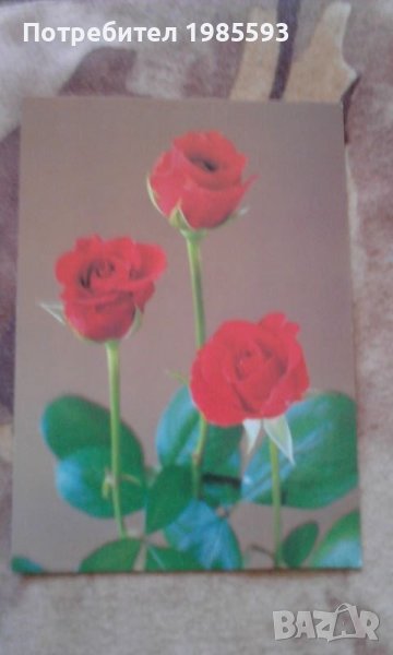 Ретро картички, снимка 1