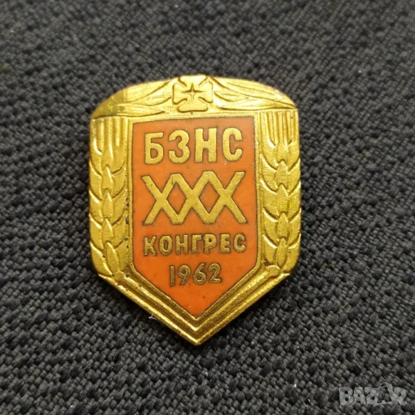 Бронзова соц значка - 30-ти конгрес БЗНС, снимка 1