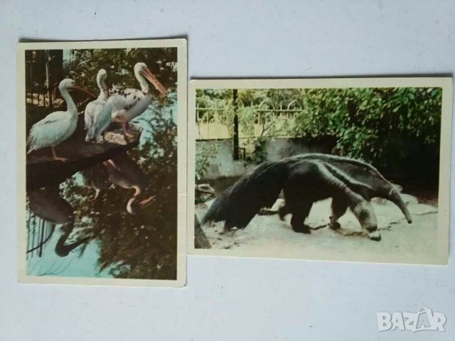 Албуми с картички от СССР Ленинград, снимка 10 - Колекции - 28969987